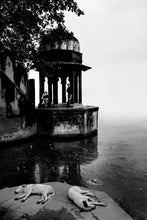 Load image into Gallery viewer, Photography