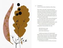 Load image into Gallery viewer, Take A Deep Breath | Book design and imagery | Igor Goldkind | Subversion Factory
