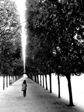 Load image into Gallery viewer, Photography
