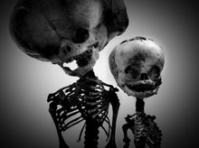 Load image into Gallery viewer, Photography
